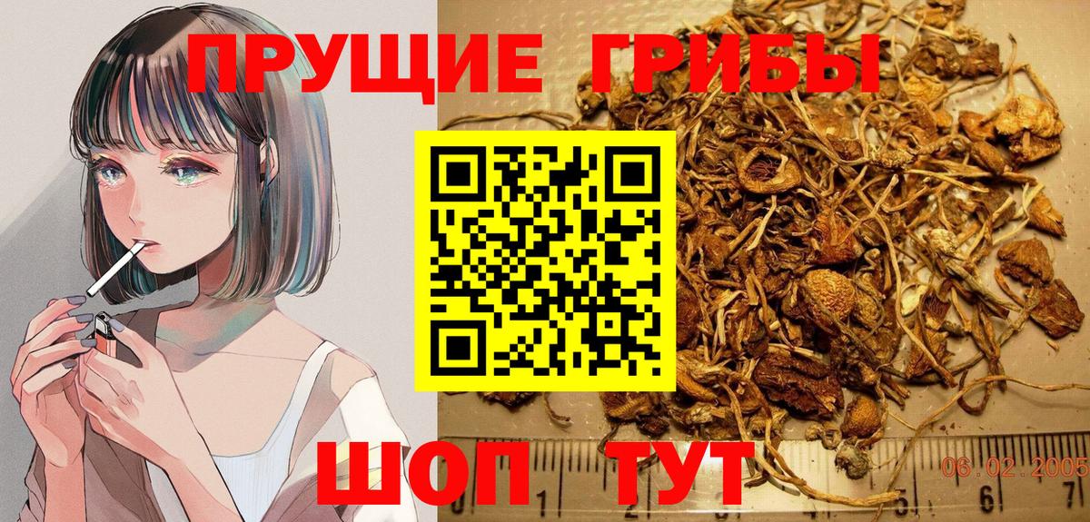 Псилоцибиновые грибы GOLDEN TEACHER  Вход с VPN  Михайловск 